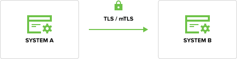 System-System (uwierzytelnienie mTLS z certyfikatem X9)